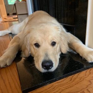 Meet your Posher, Jordan